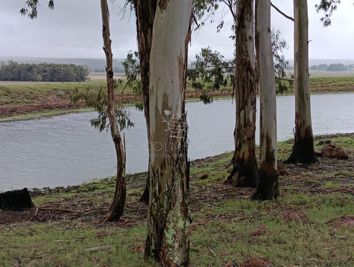 Foto de Campo de 553 has en Lascano - Rocha, imagen 2
