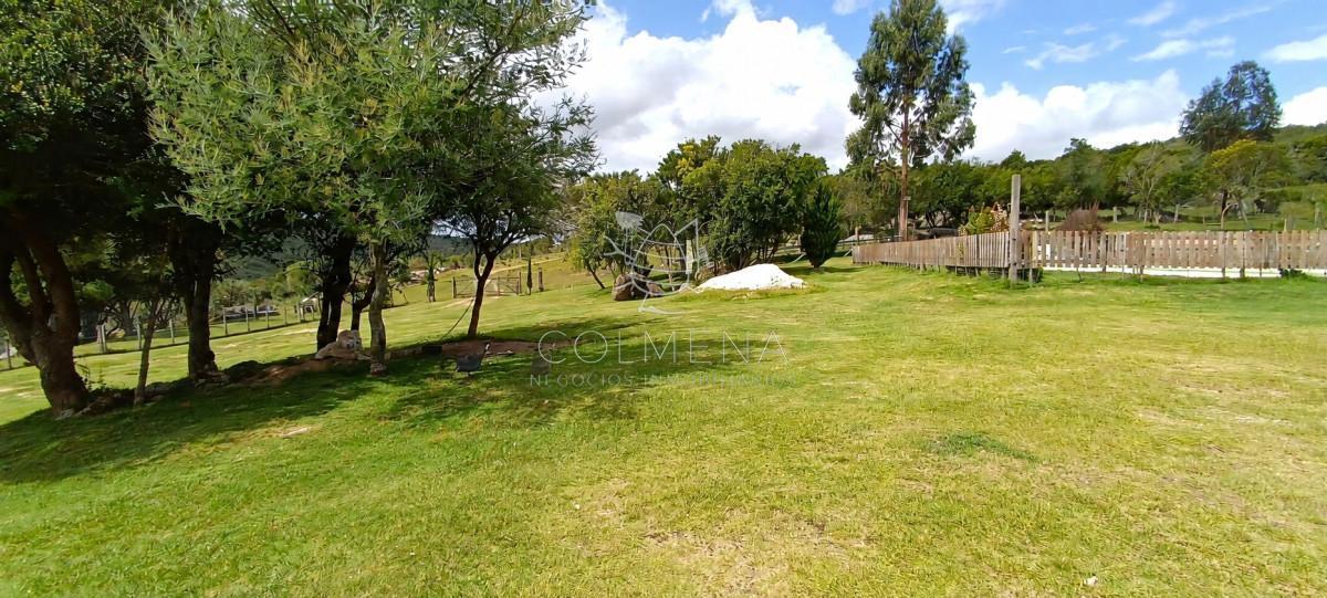 Foto de Campo de 254 hectareas en venta, zona Cerro Catedral, imagen 5