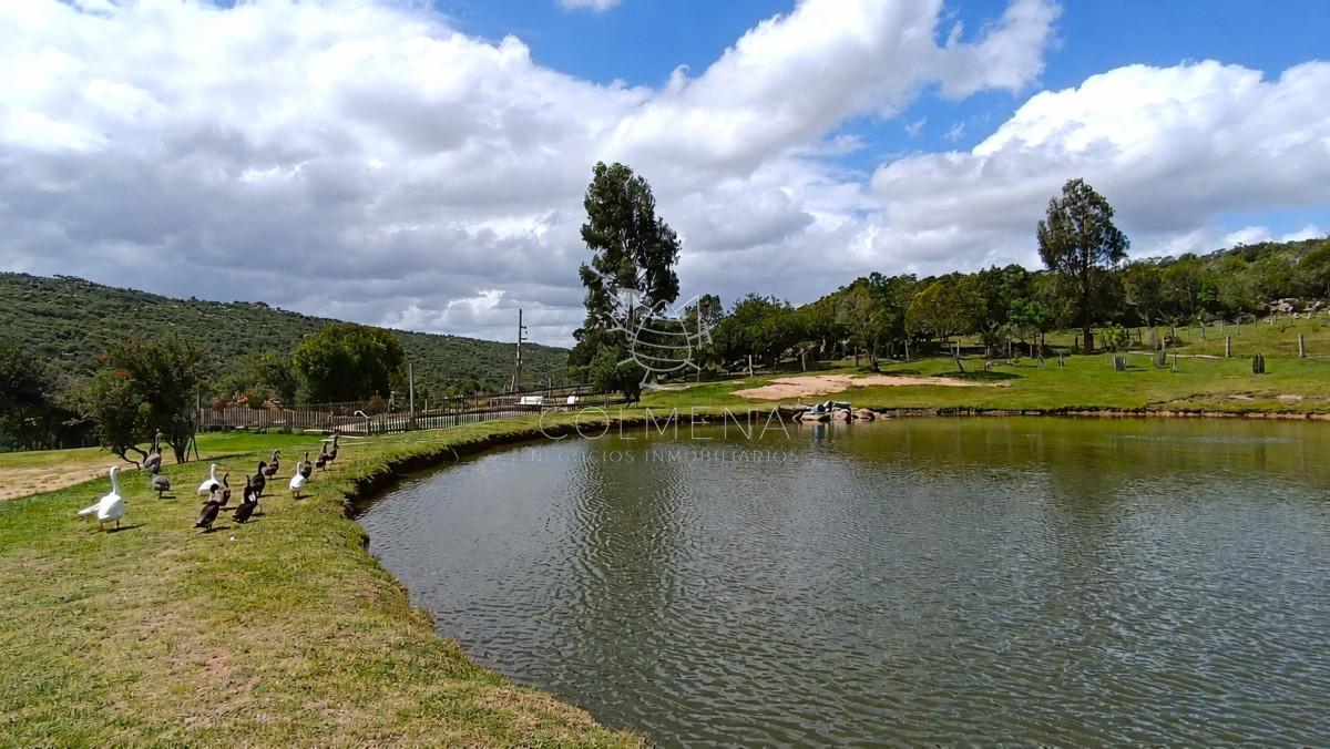 Foto de Campo de 39 hectareas con casa en venta, zona Cerro Catedral, imagen 4