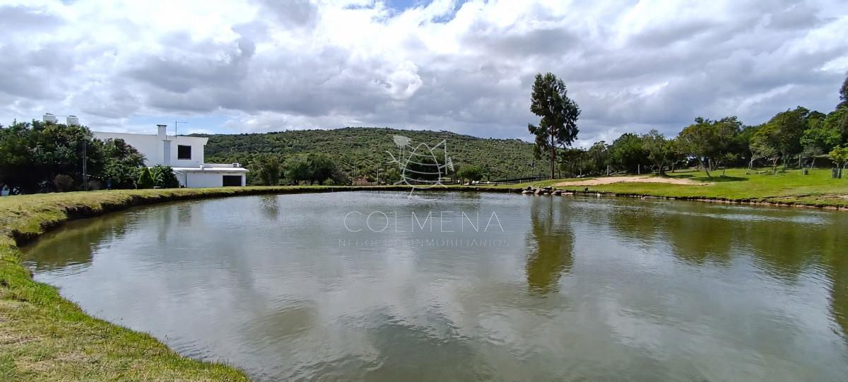 Foto de Campo de 39 hectareas con casa en venta, zona Cerro Catedral, imagen 5