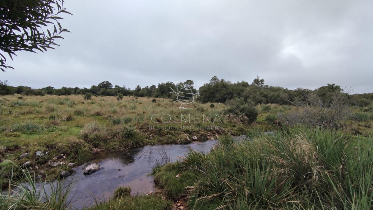 Foto de Campo de 80 hectáreas en la zona del Cerro Catedral, imagen 3