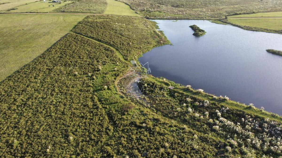 Foto de Chacra 5 has 6000 m2 en Laguna del sauce, imagen 4