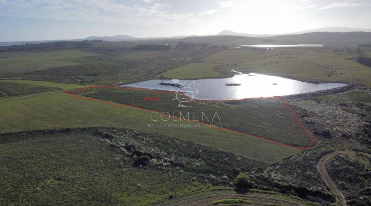 Foto de Chacra 5 has 6000 m2 en Laguna del sauce, imagen 2