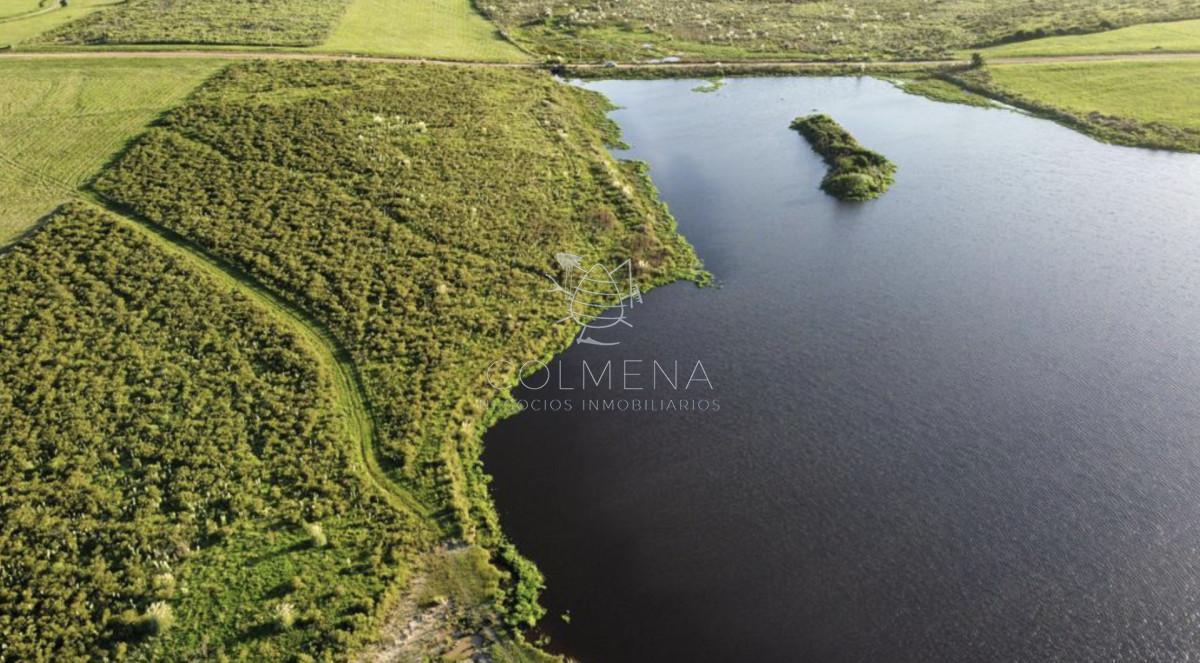 Foto de Chacra 5 has 6000 m2 en Laguna del sauce, imagen 1