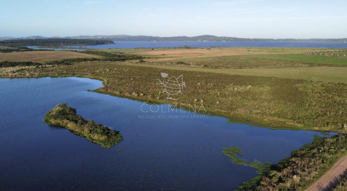 Foto de Chacra 5 has 6000 m2 en Laguna del sauce, imagen 3