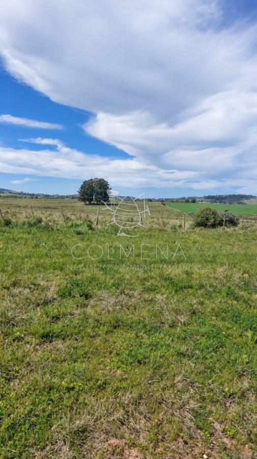 Foto de Campo ganadero 30 ha en Ruta 9, imagen 3