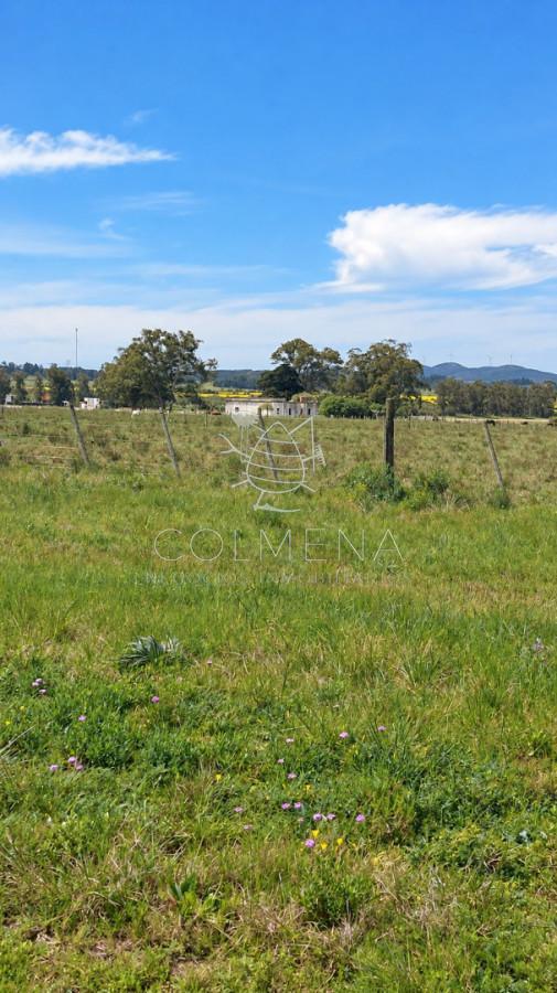Foto de Campo ganadero 30 ha en Ruta 9, imagen 1