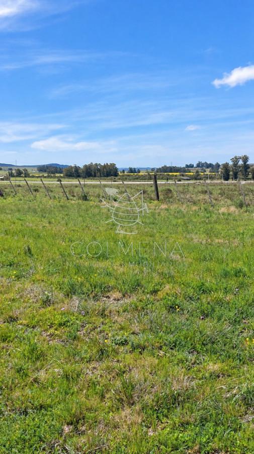 Foto de Campo ganadero 30 ha en Ruta 9, imagen 5