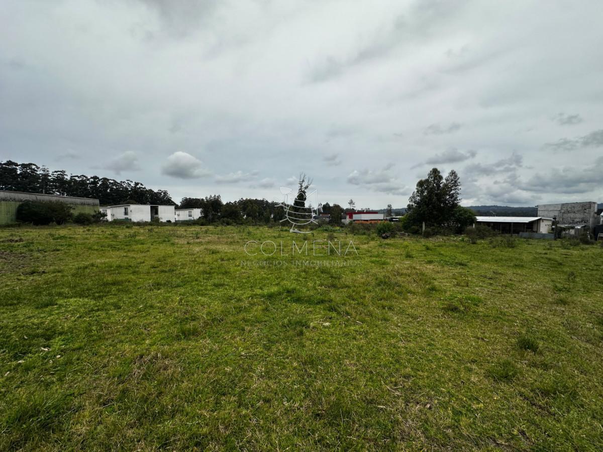 Foto de Terreno en Lussich, imagen 1