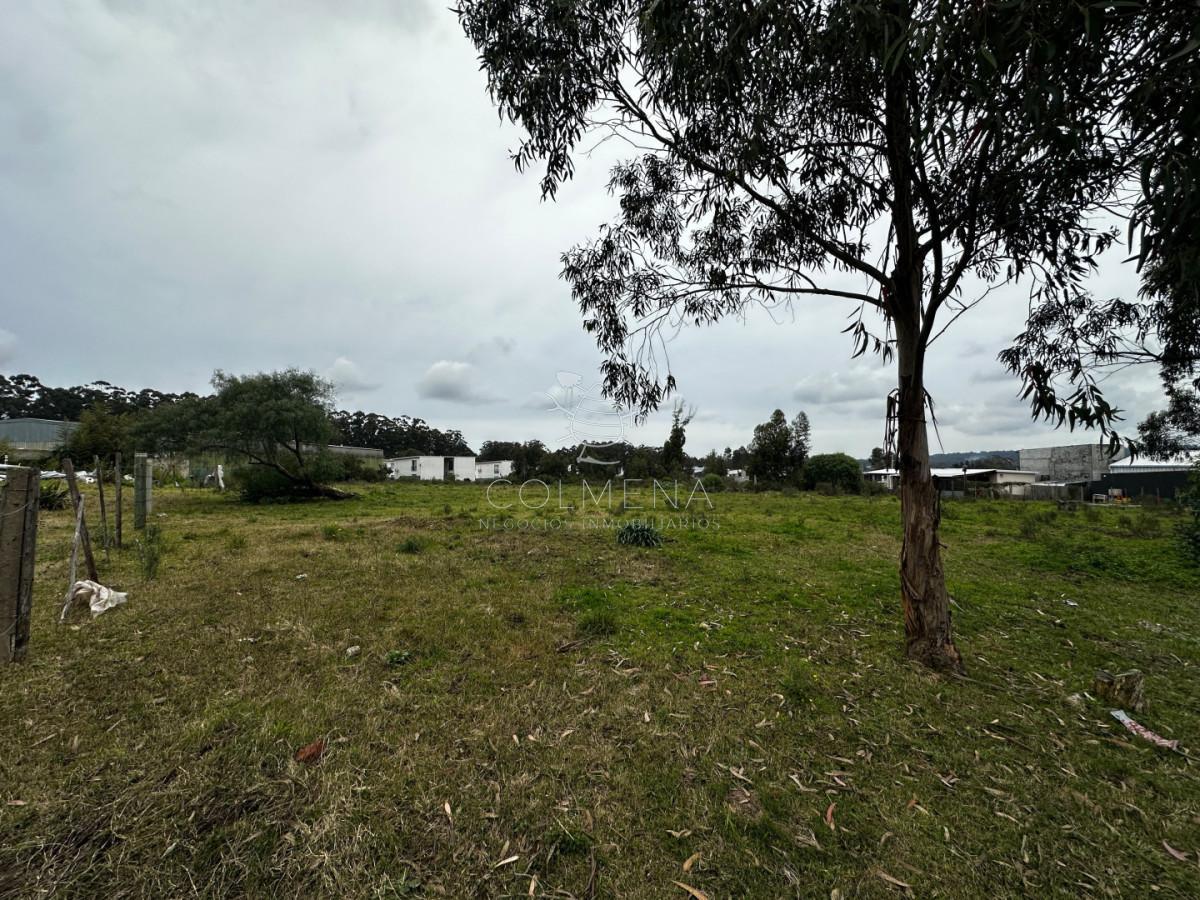Foto de Terreno en Lussich, imagen 2