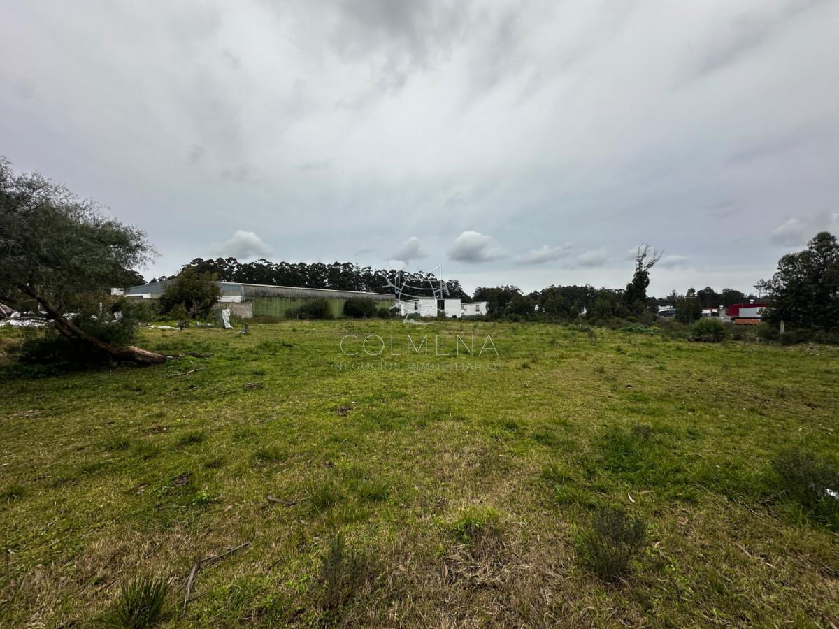 Foto de Terreno en Lussich, imagen 4