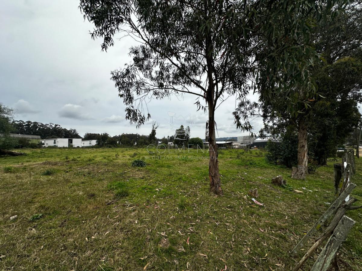Foto de Terreno en Lussich, imagen 5