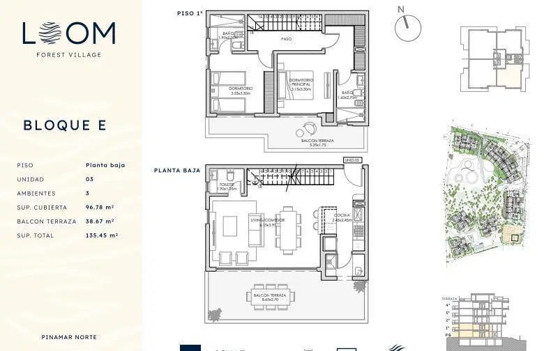 Plano 1