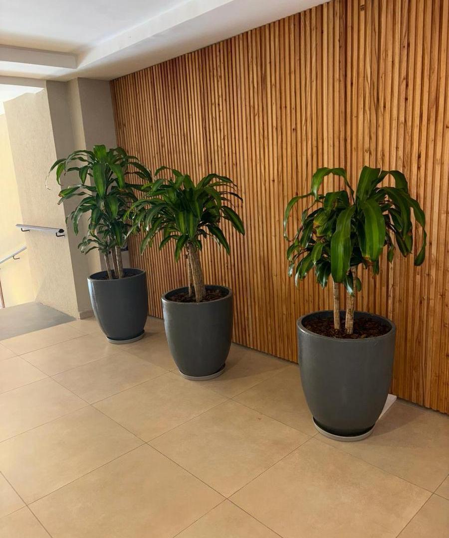 Foto de Departamento monoambiente a la venta en el centro de Ituzaingo, imagen 4