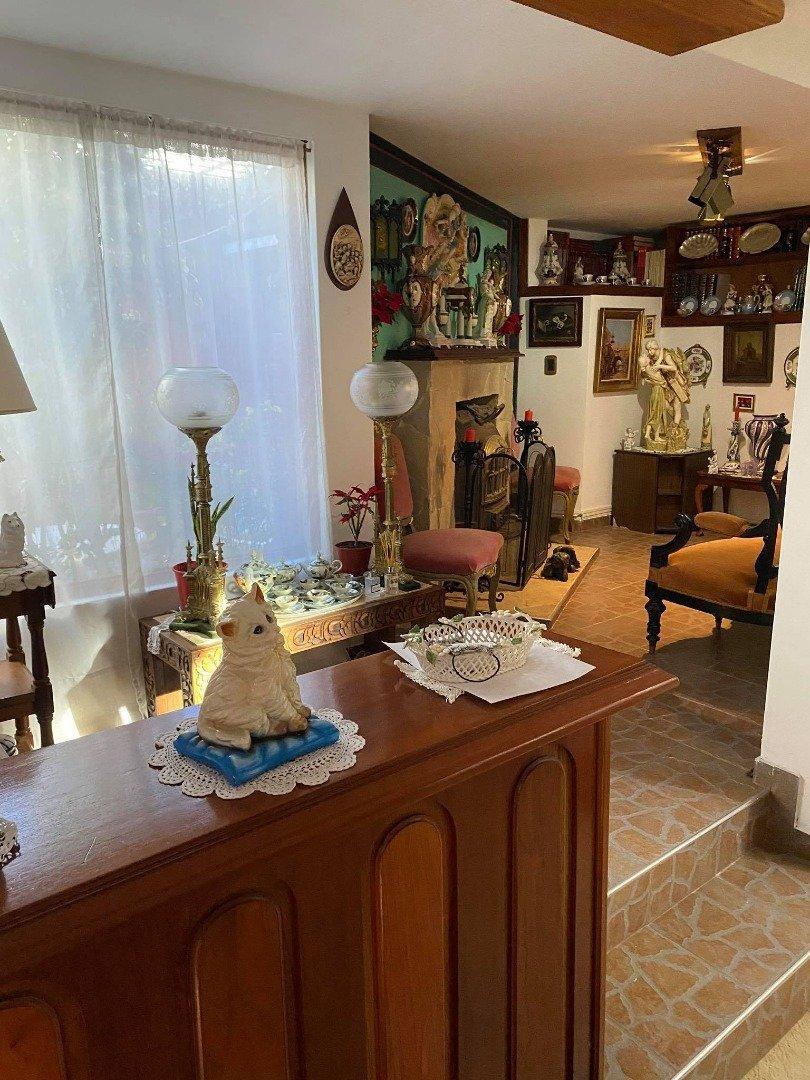 Foto de VENTA EXCELENTE RESIDENCIA CON QUINCHO Y PATIO EN PARQUE LURO, imagen 2