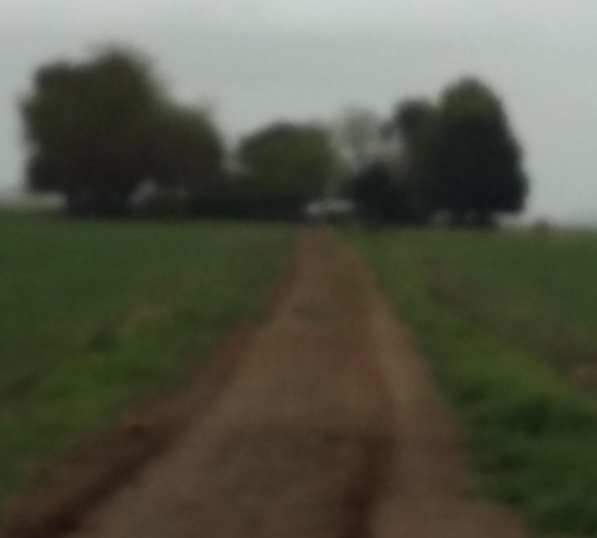 VENDO O PERMUTO 40 HECTAREAS DE CAMPO UNICAS EN BALCARCE