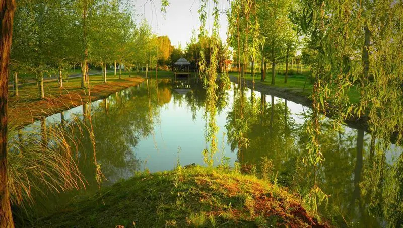 Venta terreno de 462 m2 en Pinares del Sur. Permutas. 3