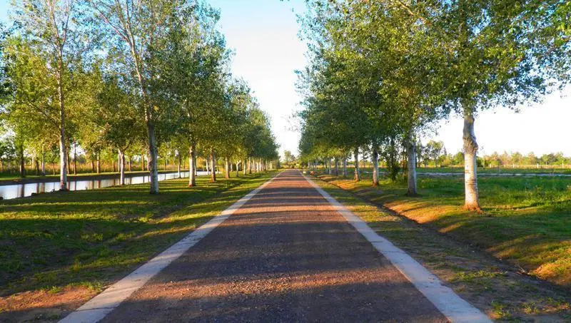 Venta terreno de 462 m2 en Pinares del Sur. Permutas. 2