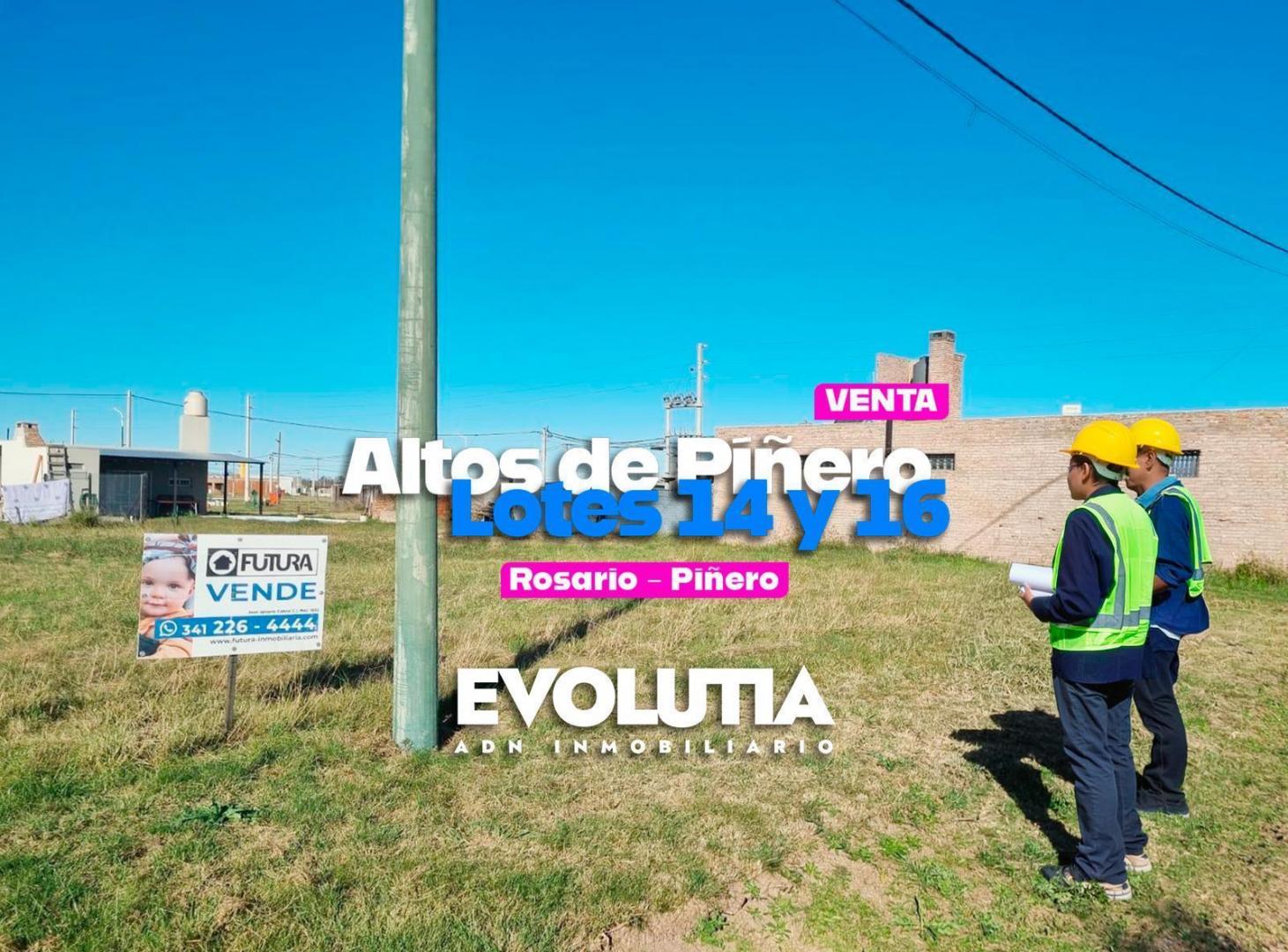 Foto de Terreno en Altos de Piñero, imagen 3