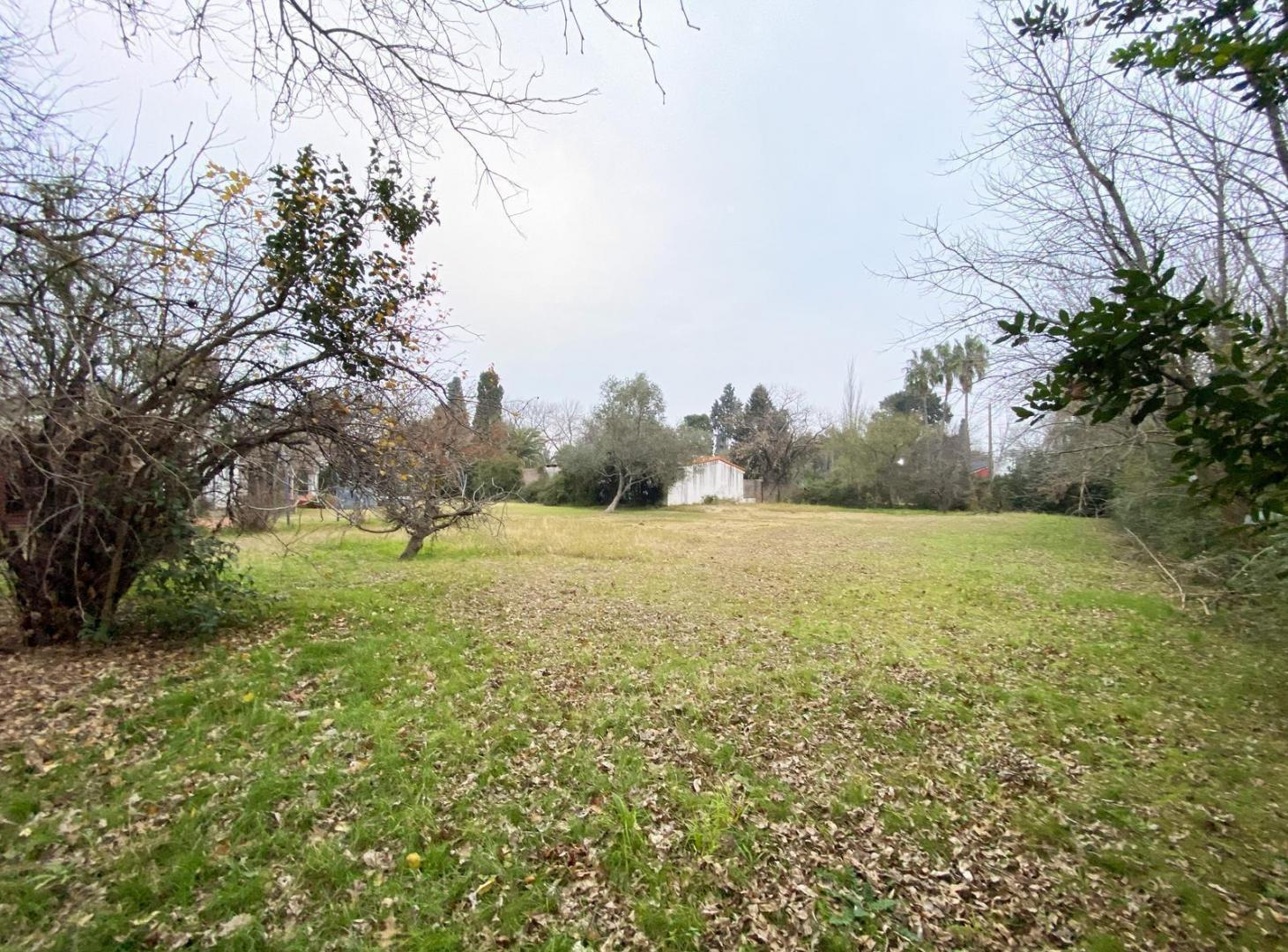 Foto de Terreno constructora, imagen 5