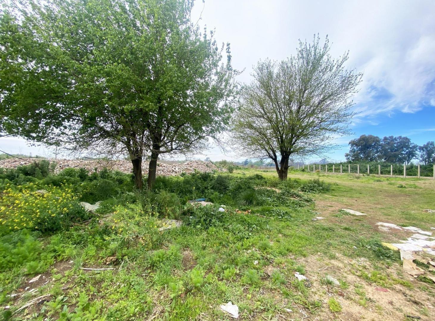 Foto de Terreno en Rosario, imagen 1