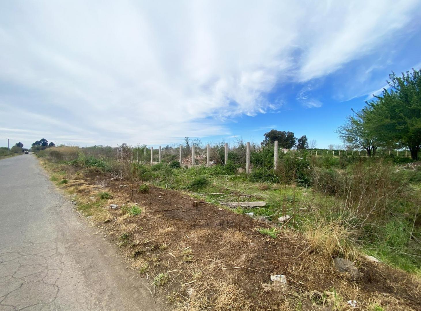 Foto de Terreno en Rosario, imagen 4