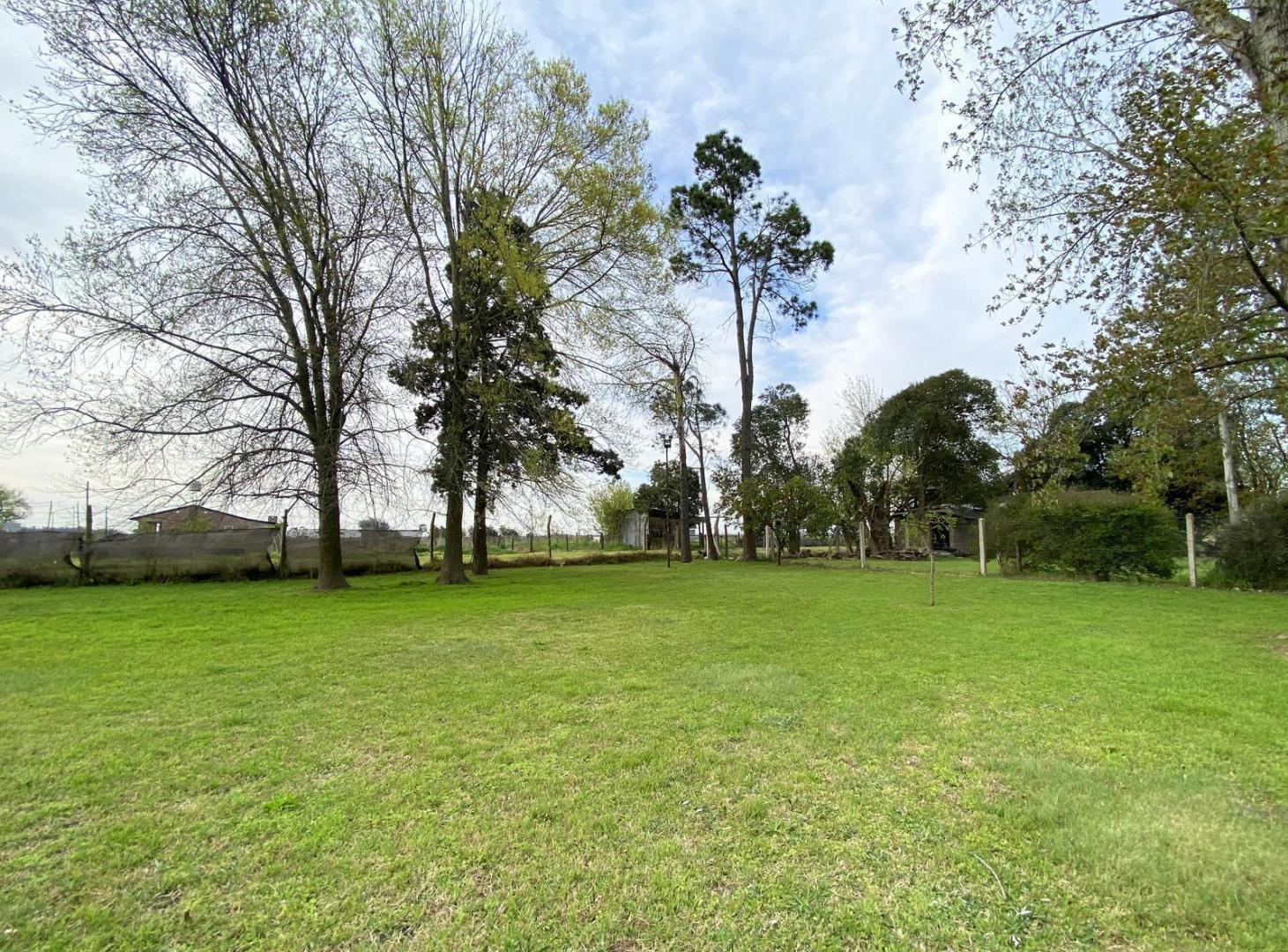 Foto de Terreno en Villa Amelia, imagen 3