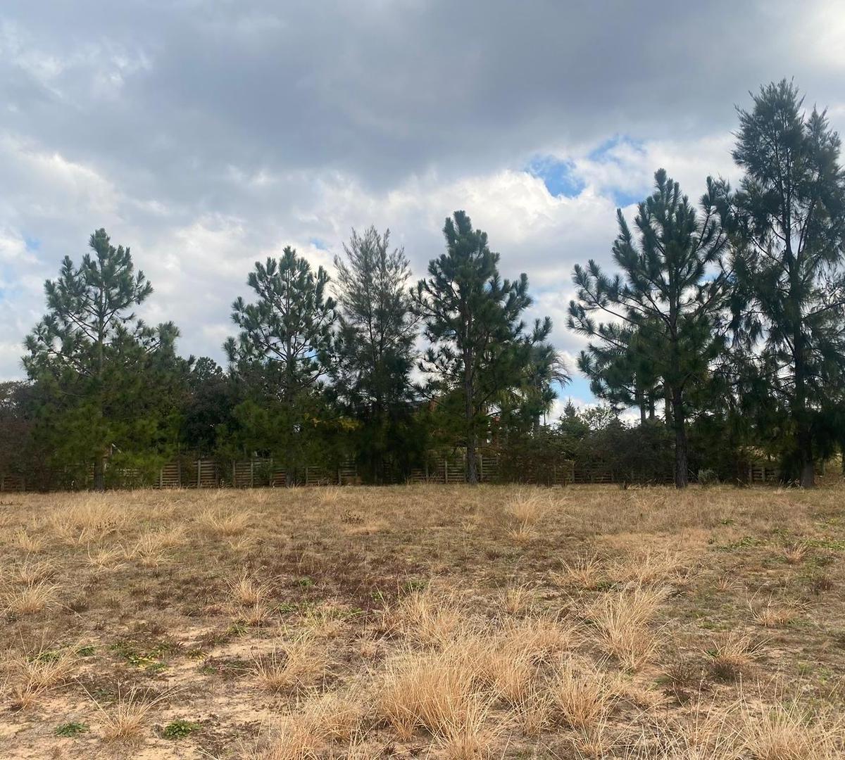 Terreno Venta Concordia 1