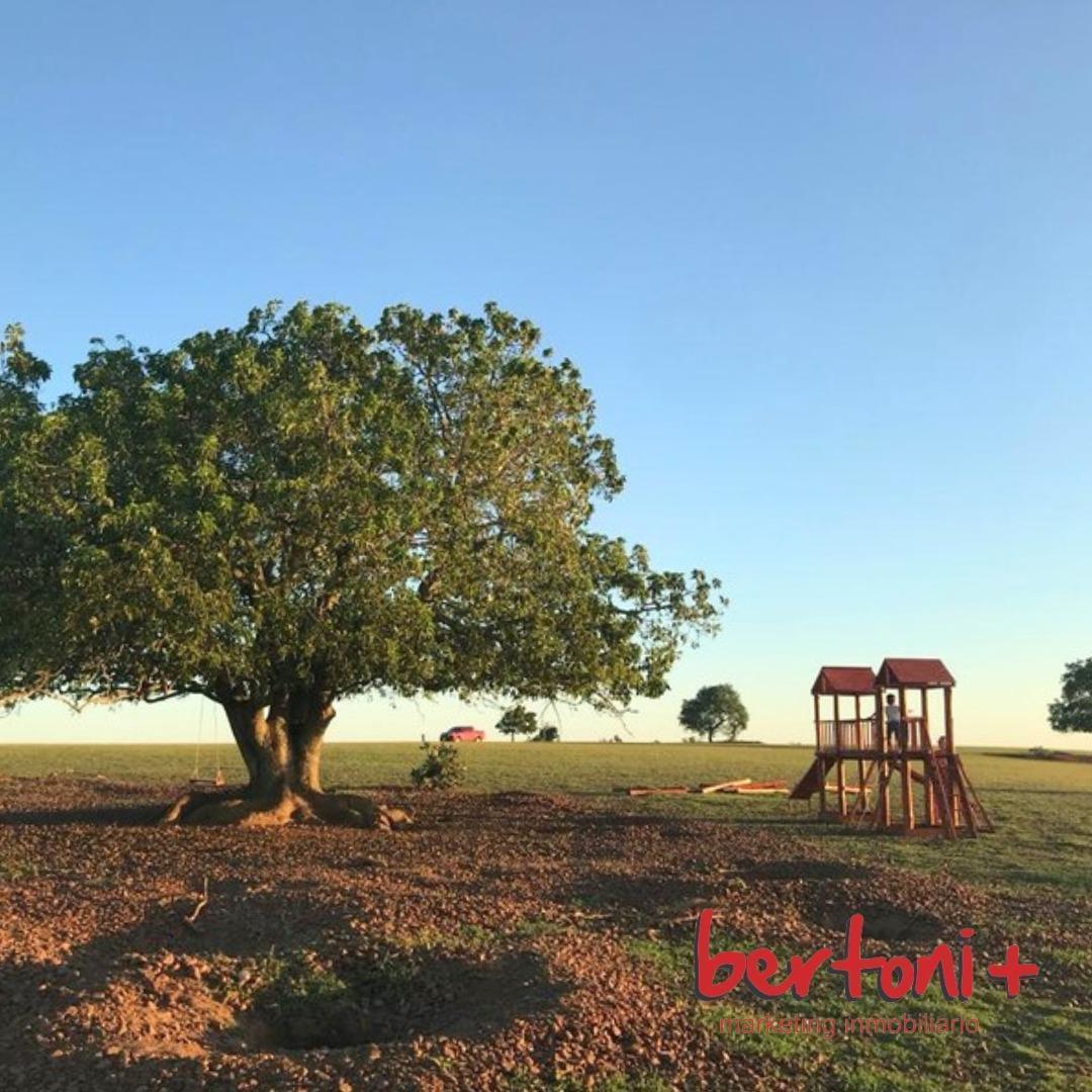 Foto de LOTE SOBRE LAGO - COSTA DEL OMBÚ, imagen 3