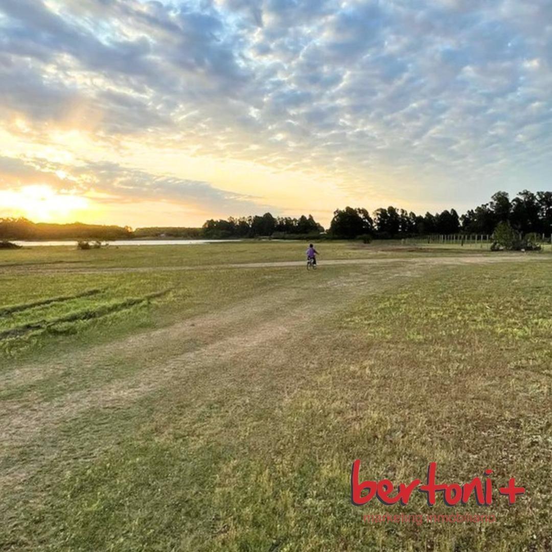 Foto de LOTE SOBRE LAGO - COSTA DEL OMBÚ, imagen 4