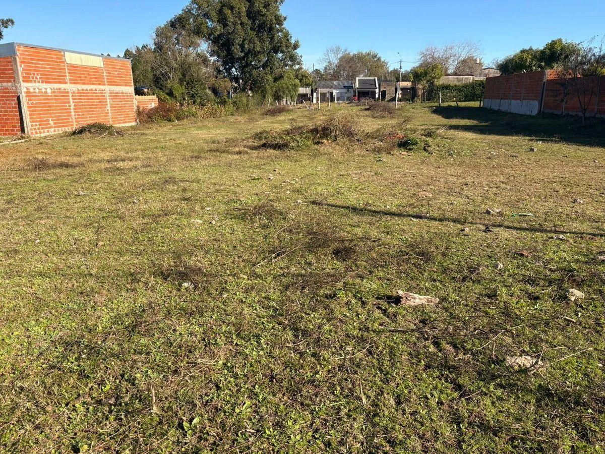 Foto de Terreno Villa Zorraquin, imagen 5