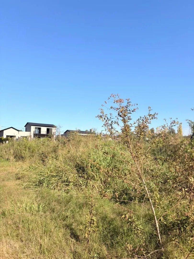 Foto de Venta Terreno Zona Donovan, imagen 4