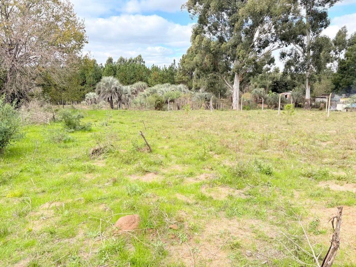Foto de Terreno Calabacilla, imagen 5