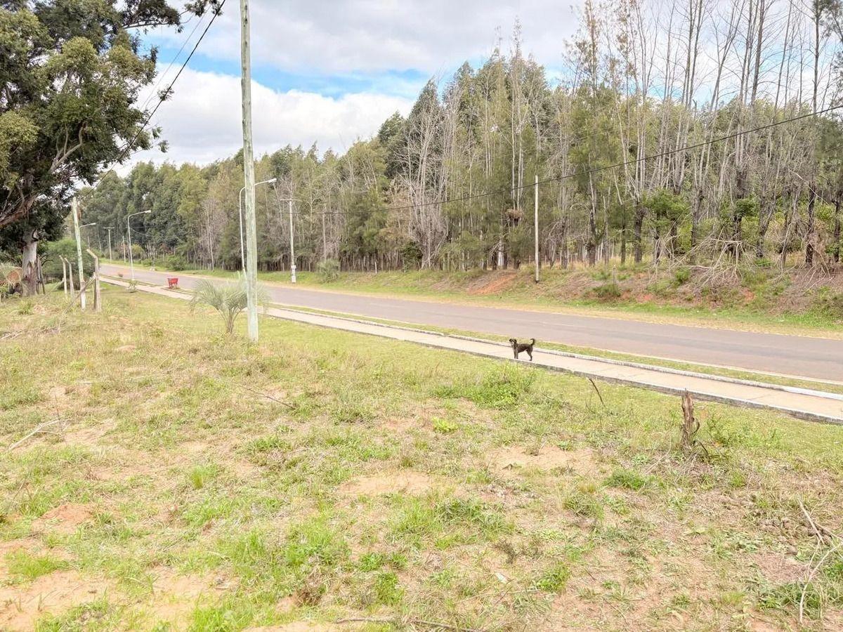 Foto de Terreno Calabacilla, imagen 4