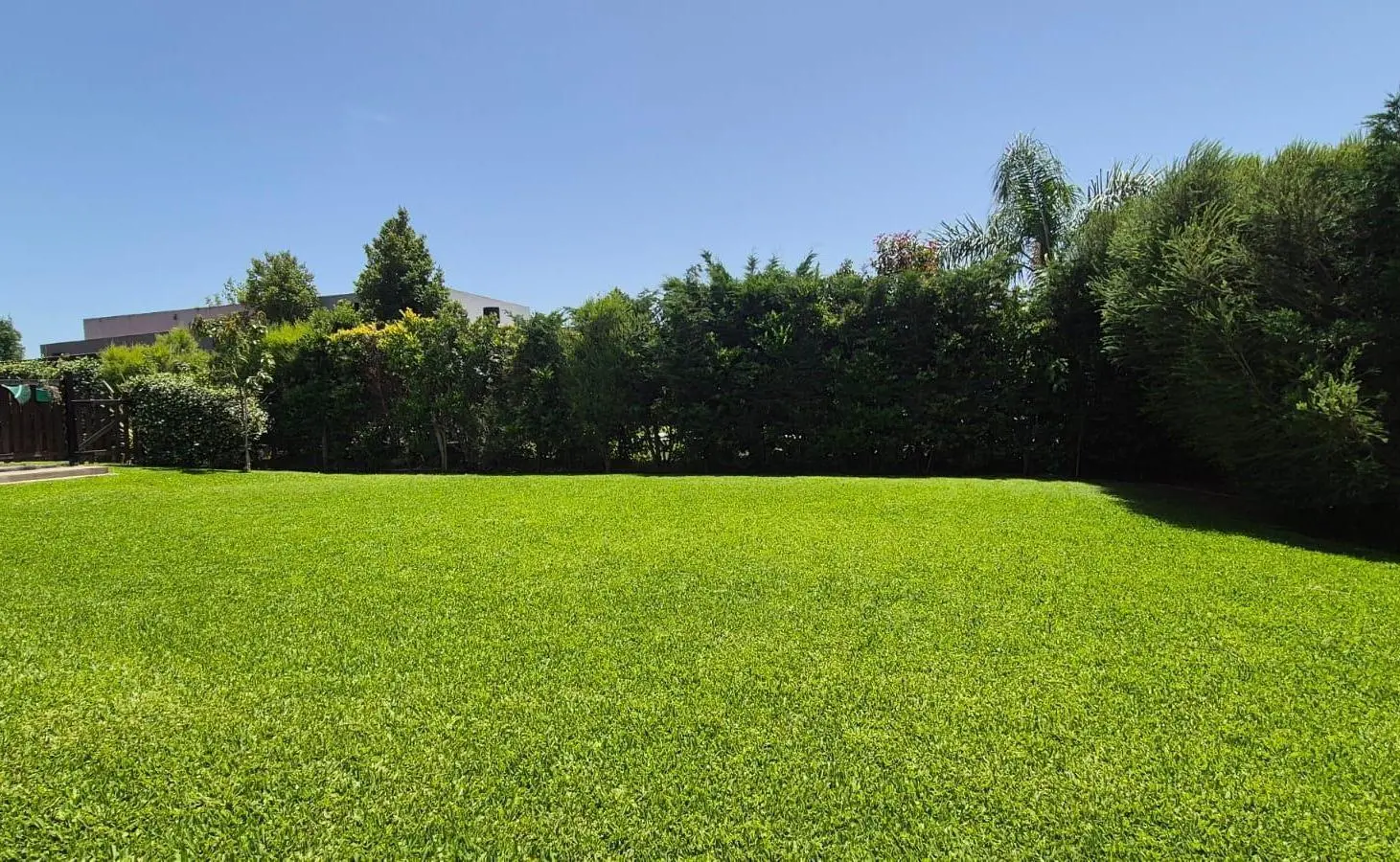 Casa en San Matias 4