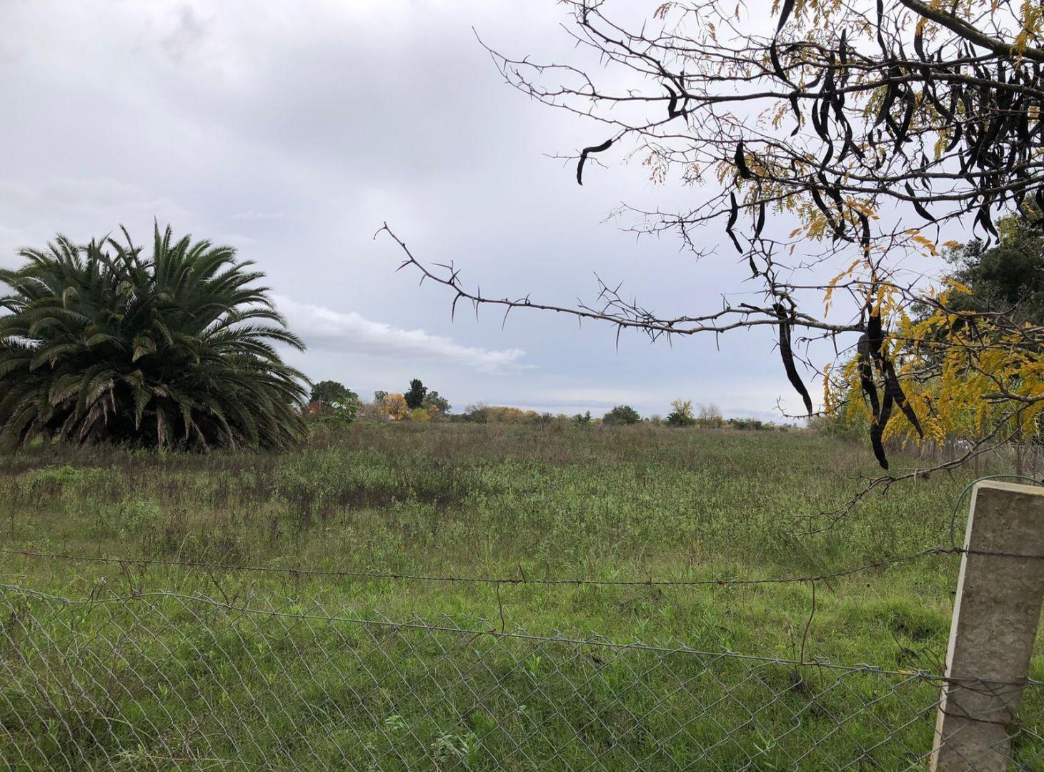 Foto de Terreno - Ingeniero Maschwitz, imagen 1