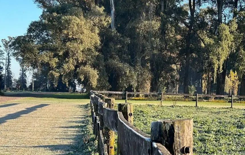 RETASADO. FINANCIA! Chacra de 1,2 ha con laguna propia en Santa María de Lobos Polo Club 4