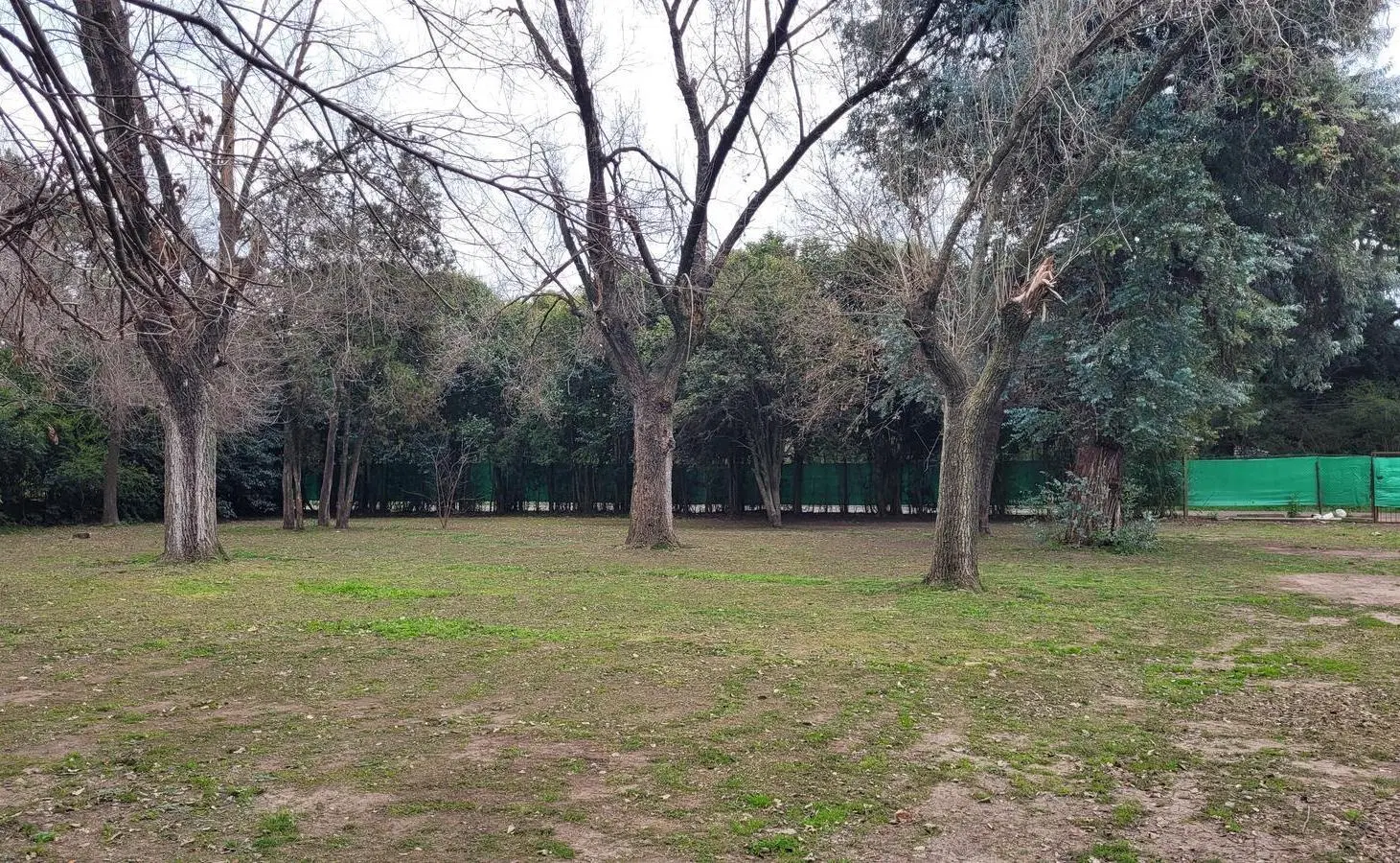 Terreno  en Benavidez 2