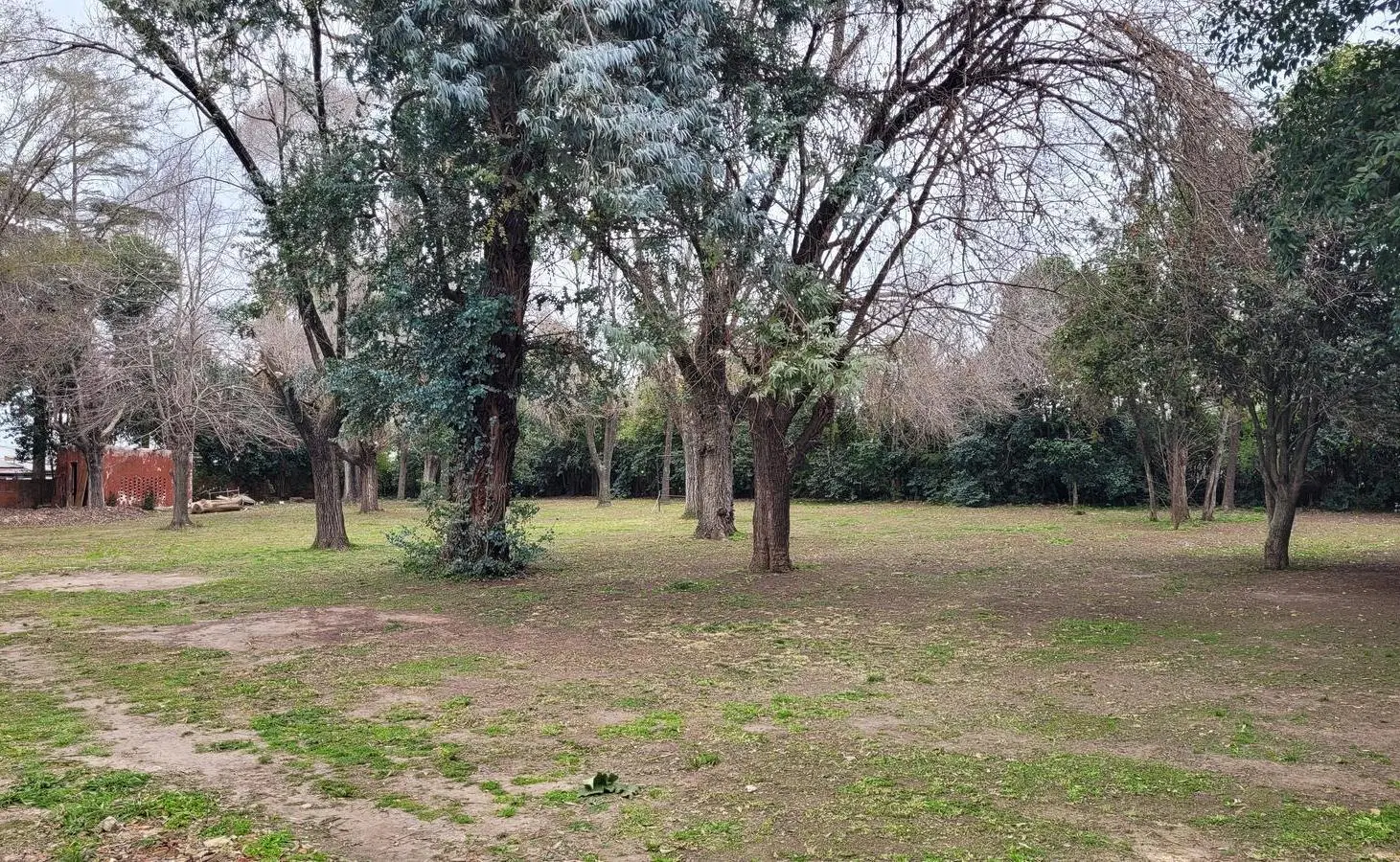 Terreno  en Benavidez 5