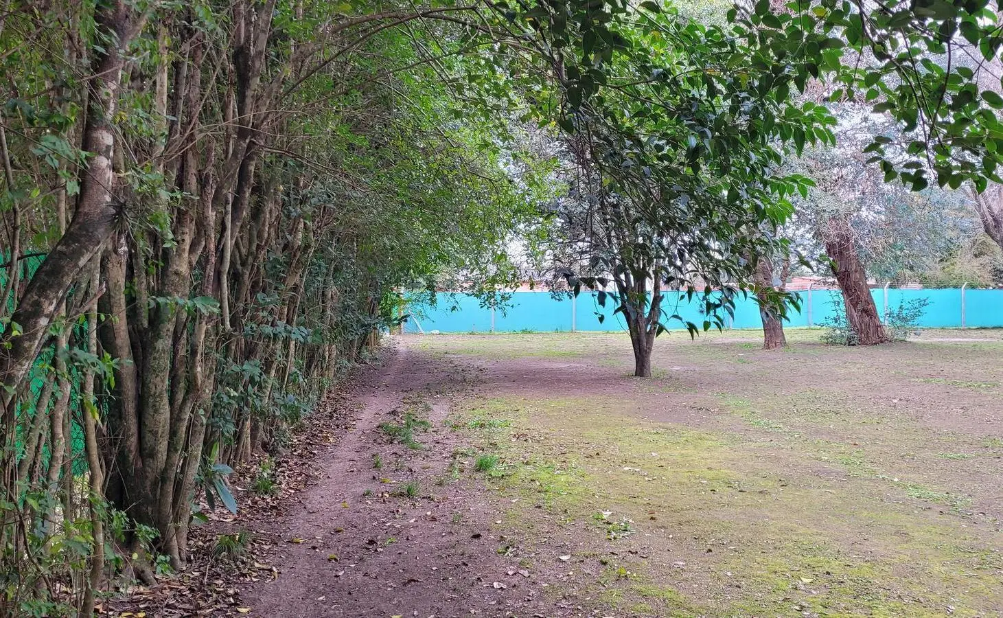 Terreno  en Benavidez 3