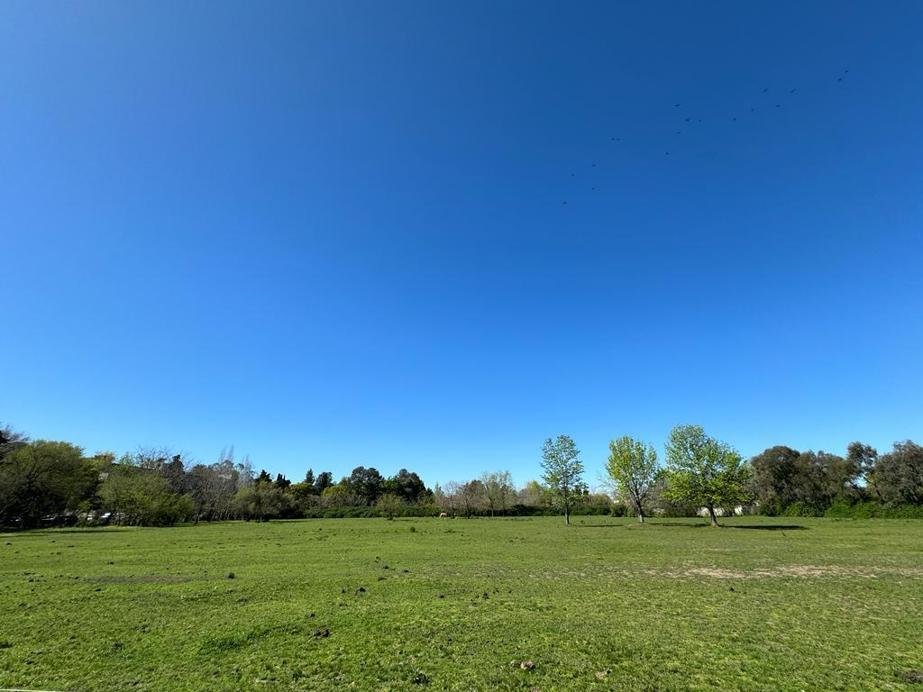 Foto de OPORTUNIDAD DE INVERSIÓN EN PILAR | 13.774 M² A METROS DE HIGHLAND PARK, imagen 4