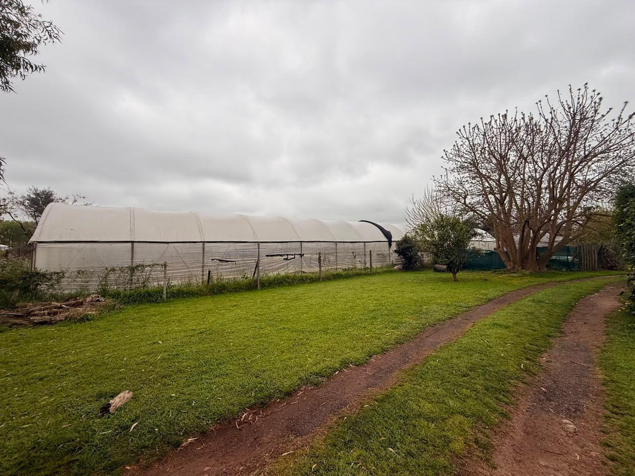 Foto de Venta terreno en loma verde, imagen 1