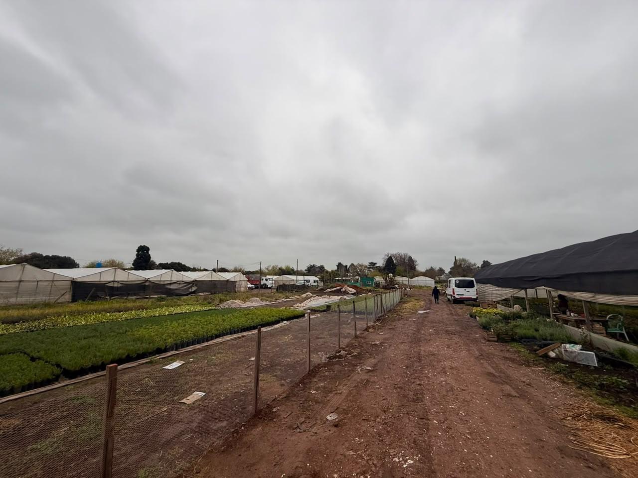 Foto de Venta terreno en loma verde, imagen 2