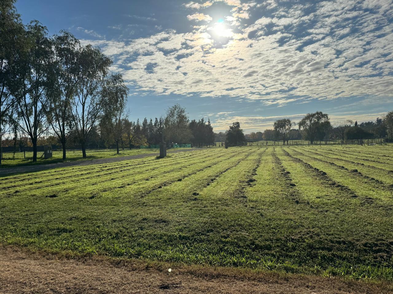 Foto de Lote en venta en Manzanares, imagen 2
