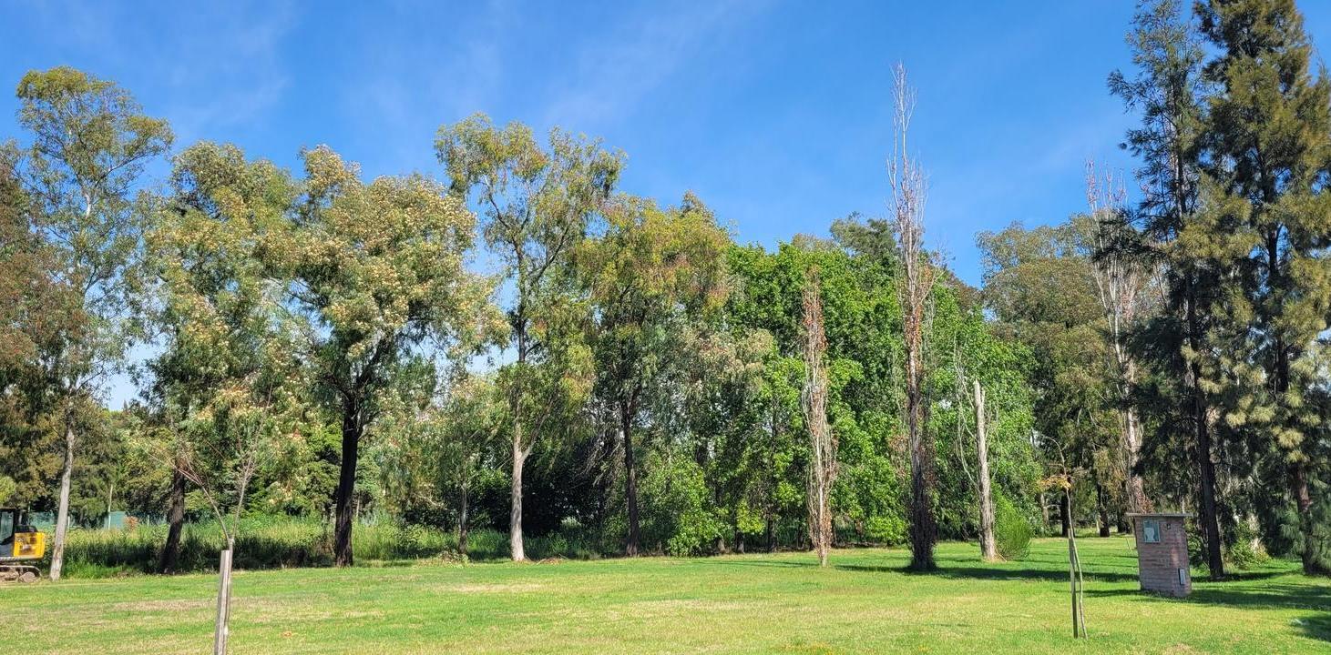 Foto de Terreno interno en Azzurra Tortugas, sector 3, imagen 3