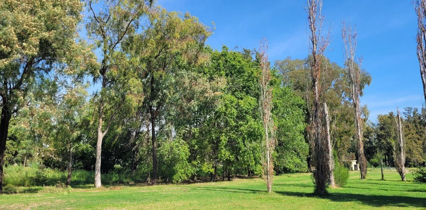 Foto de Terreno interno en Azzurra Tortugas, sector 3, imagen 5