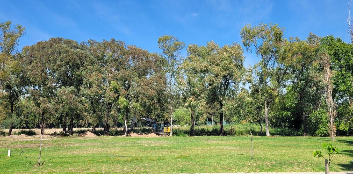 Foto de Terreno interno en Azzurra Tortugas, sector 3, imagen 1