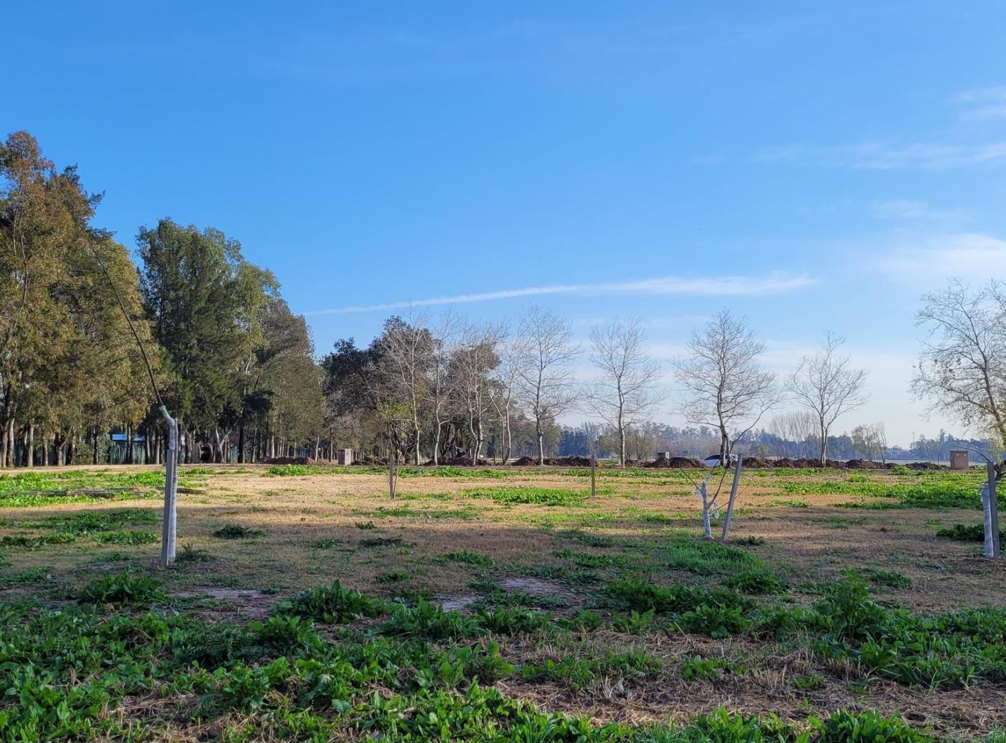 Foto de Lote al Arroyo - Azzurra Tortugas, imagen 2