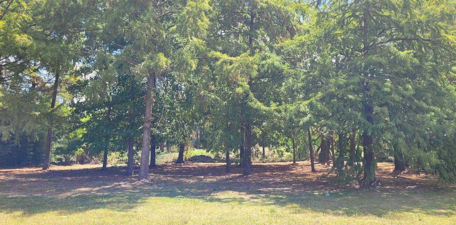 Foto de LOTE INTERNO, SECTOR 3, AZZURRA TORTUGAS, PILAR., imagen 5