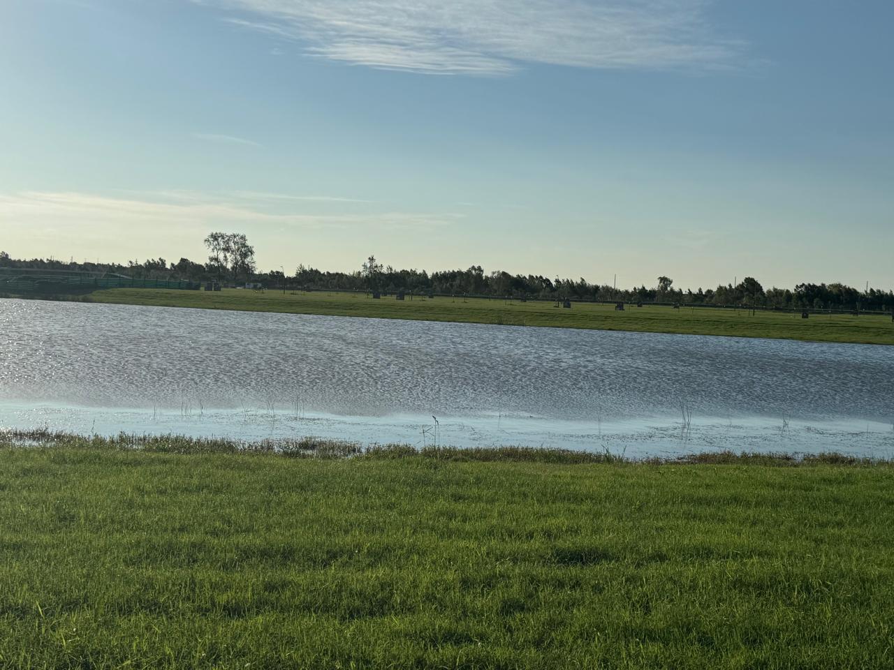 Foto de TERRENO PUERTOS DEL LAGO ESCOBAR A LA LAGUNA, imagen 1